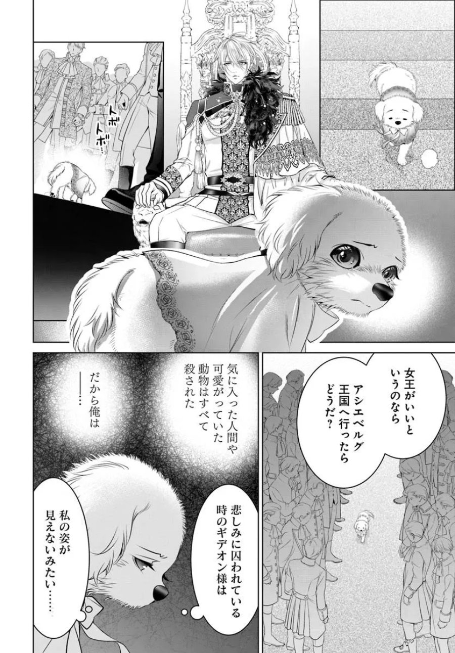 国王陛下、私を飼ってください! ～妹の身代わりで貢ぎ物にされましたが、愛され犬を目指します～ 第7話 - Page 12