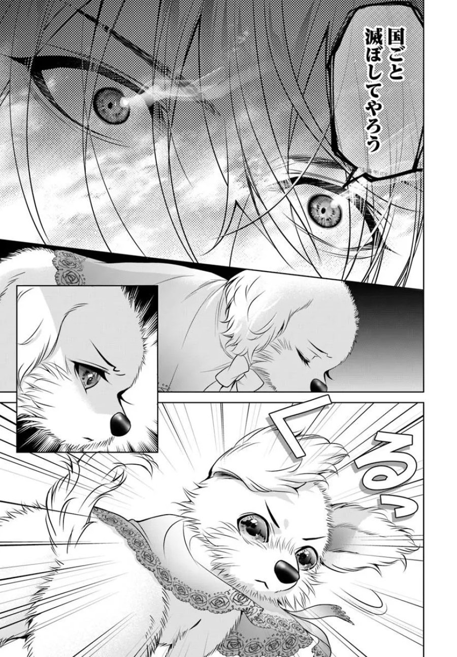 国王陛下、私を飼ってください! ～妹の身代わりで貢ぎ物にされましたが、愛され犬を目指します～ 第7話 - Page 13