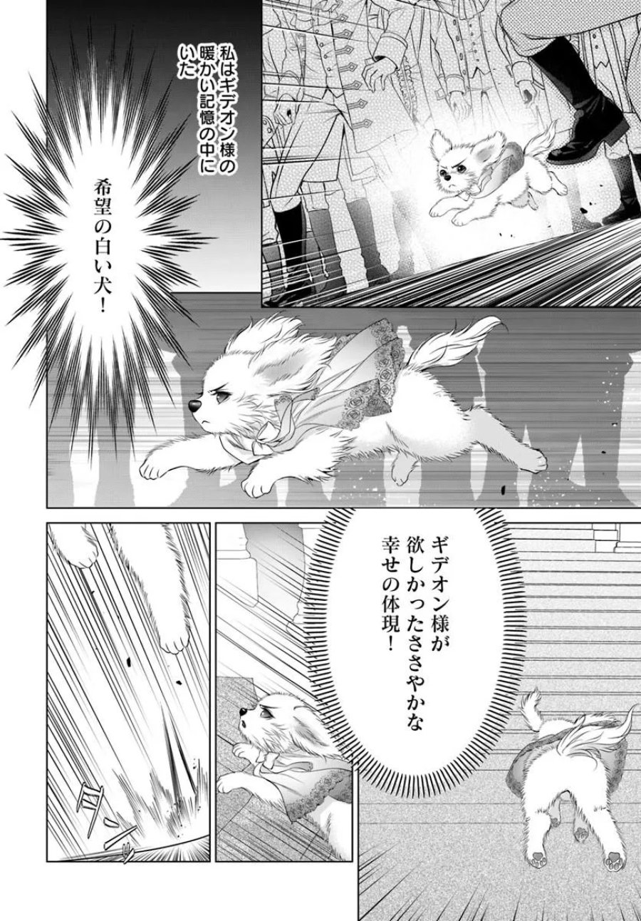 国王陛下、私を飼ってください! ～妹の身代わりで貢ぎ物にされましたが、愛され犬を目指します～ 第7話 - Page 14