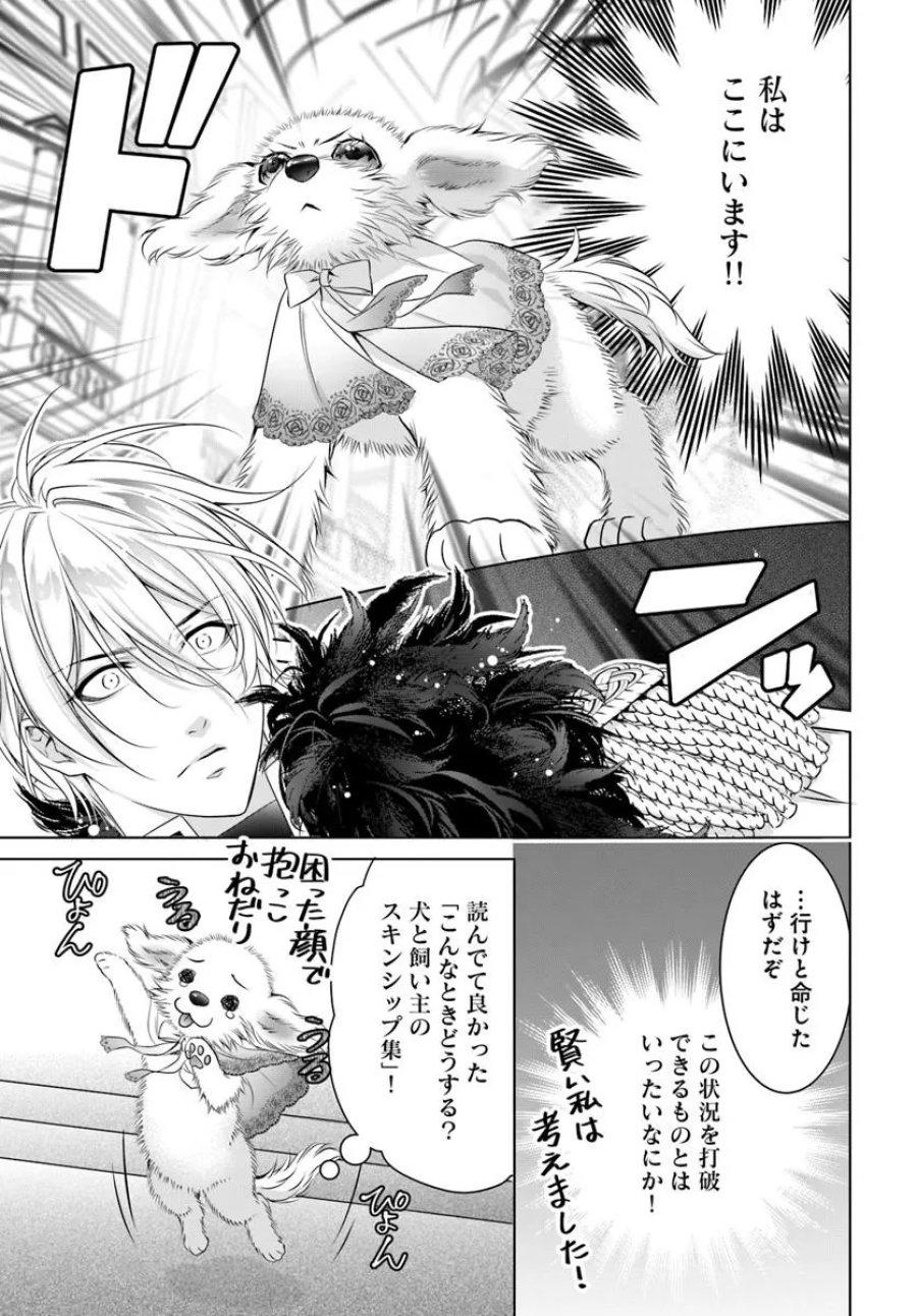 国王陛下、私を飼ってください! ～妹の身代わりで貢ぎ物にされましたが、愛され犬を目指します～ 第7話 - Page 15
