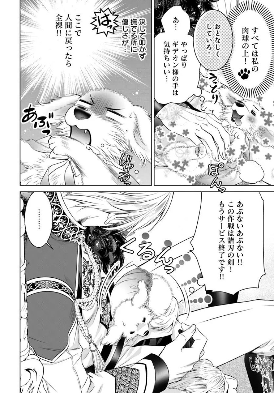 国王陛下、私を飼ってください! ～妹の身代わりで貢ぎ物にされましたが、愛され犬を目指します～ 第7話 - Page 18