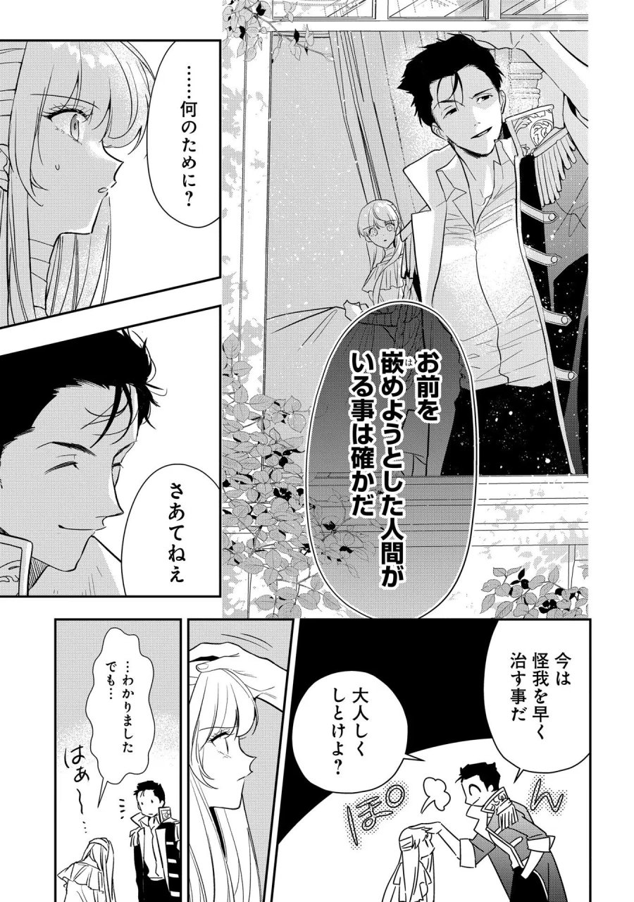 裏切られたので、王妃付き侍女にジョブチェンジ！ 第11話 - Page 29