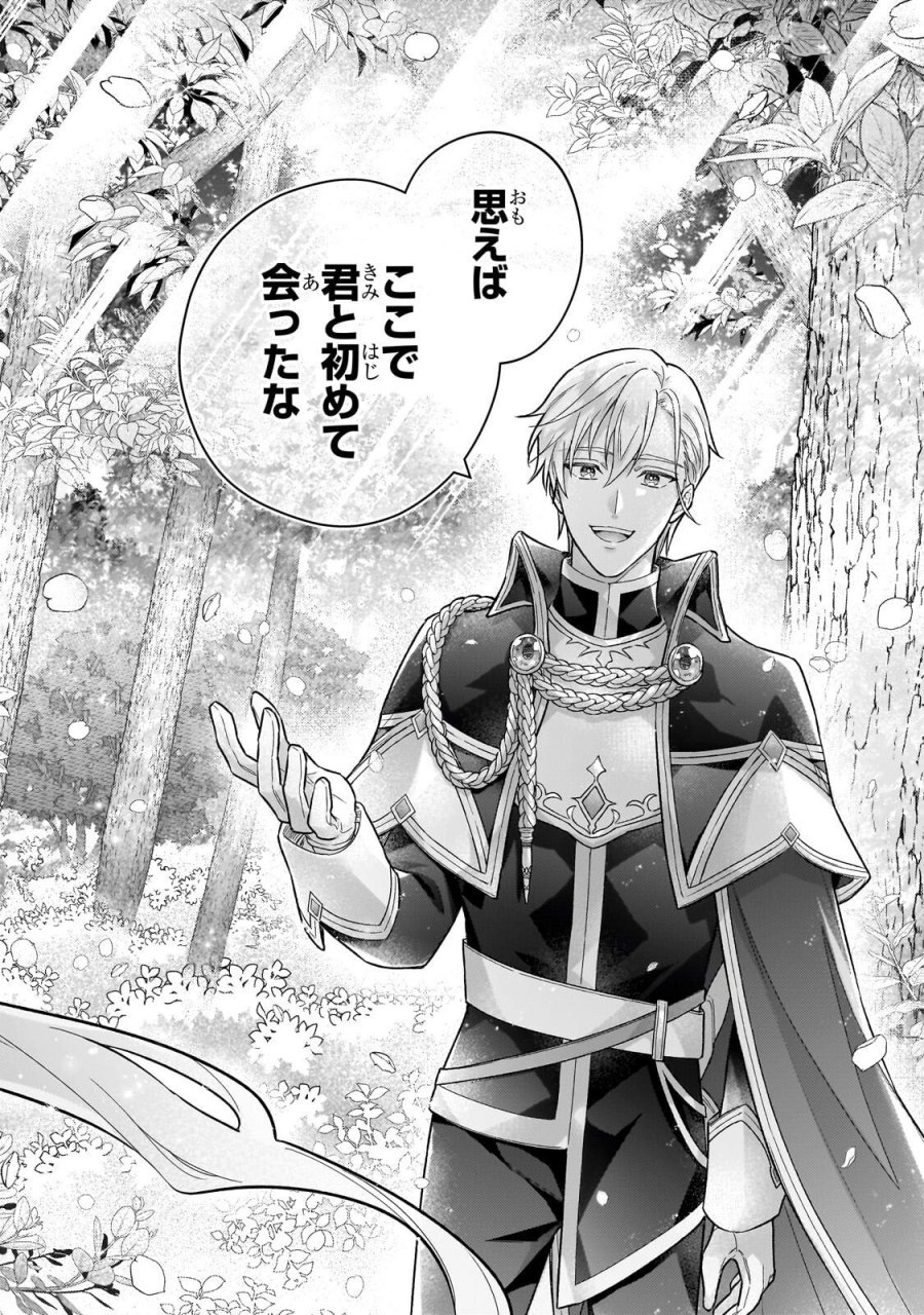 悲劇のヒロインぶる妹のせいで婚約破棄したのですが、何故か正義感の強い王太子に絡まれるようになりました 第26.2話 - Page 3
