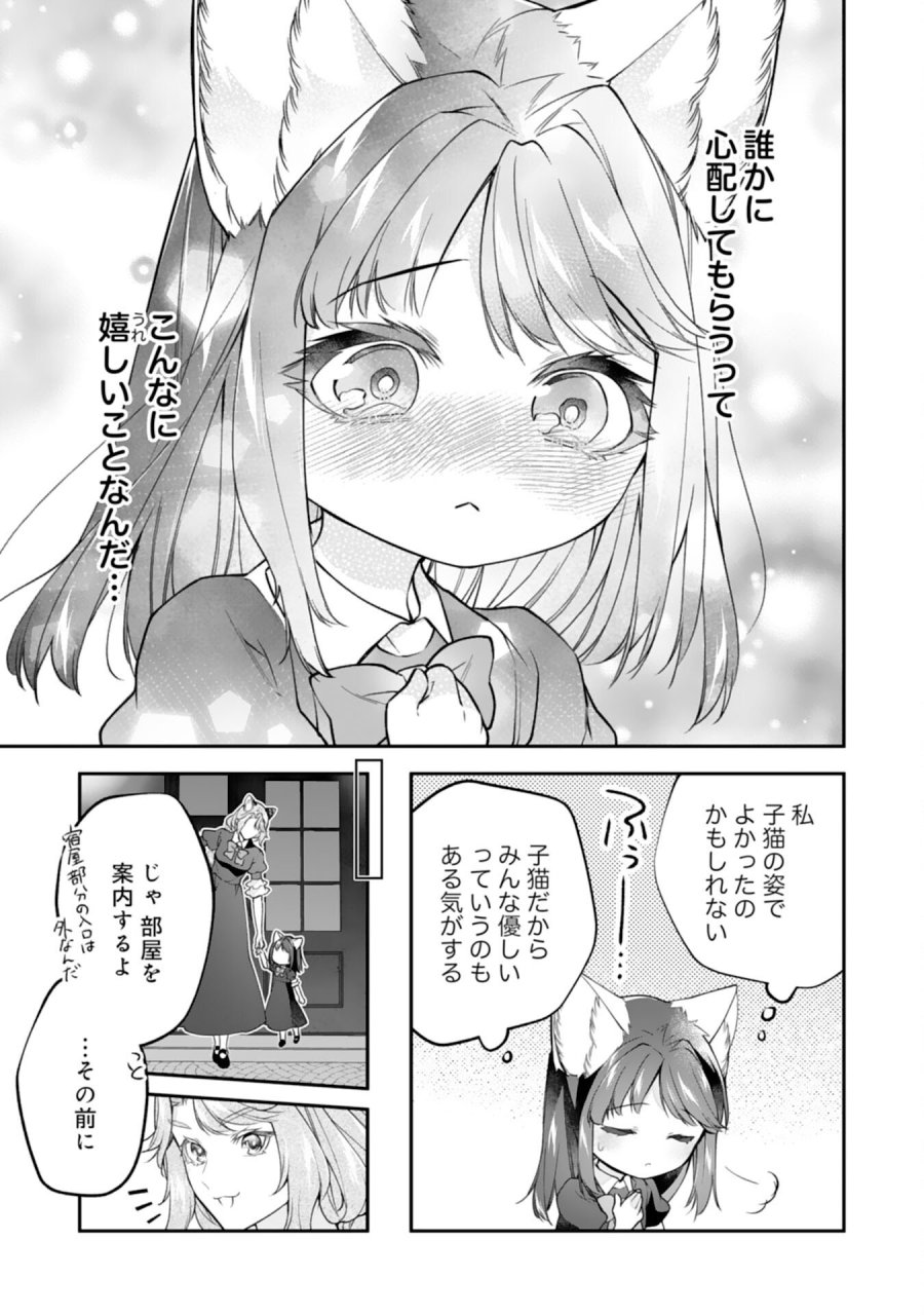 ねこねこ幼女の愛情ごはん 第17話 - Trang 19