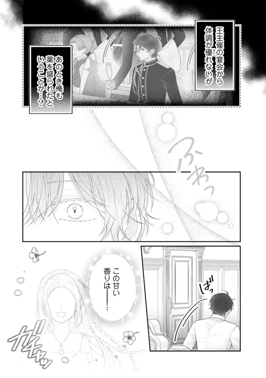 虐げられ王女に転生しましたが、竜神の加護を持つ最強騎士様に愛されて幸せです 第26話 - Trang 15