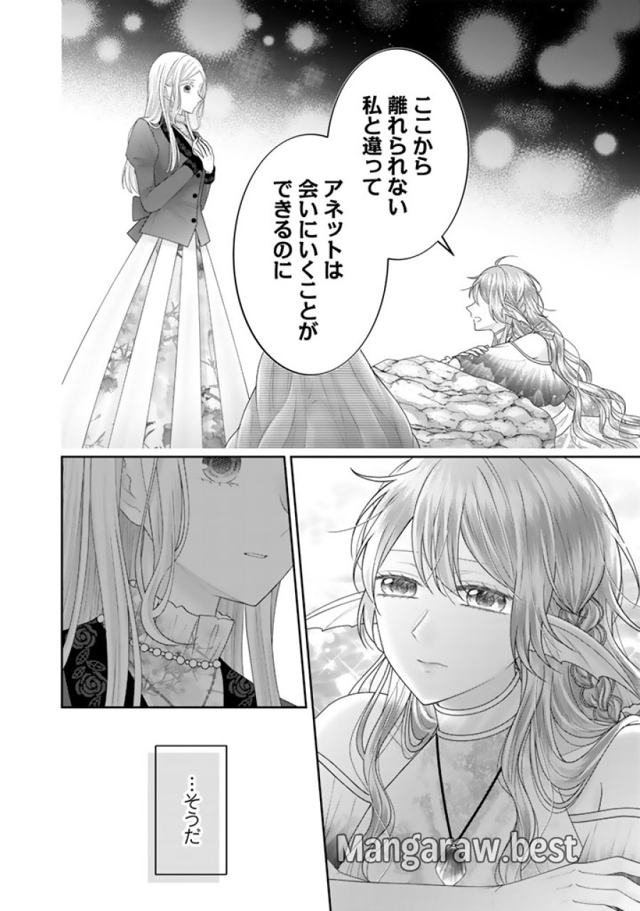 虐げられ王女に転生しましたが、竜神の加護を持つ最強騎士様に愛されて幸せです 第25話 - Trang 12