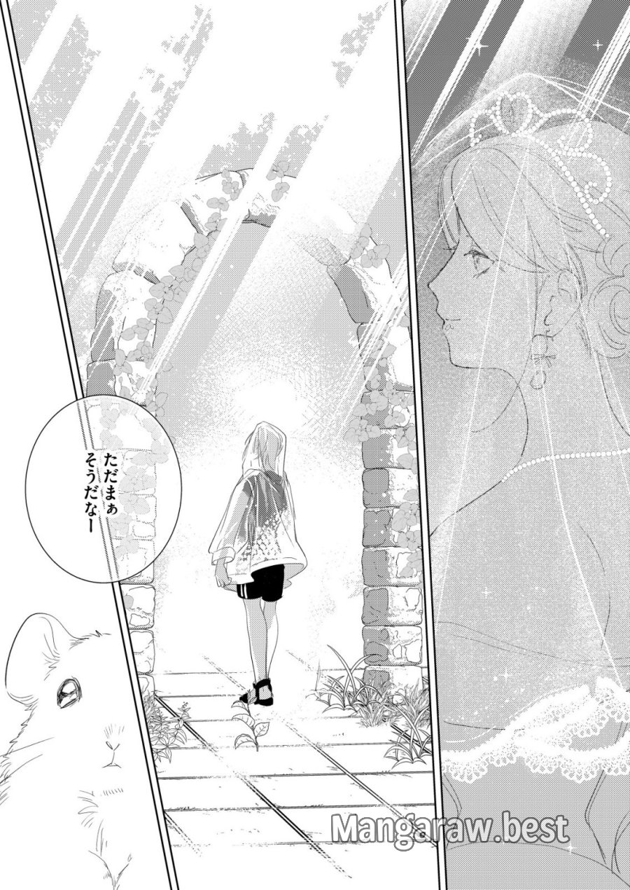 ナイナイ尽くしの異世界転生 第17話 - Page 11