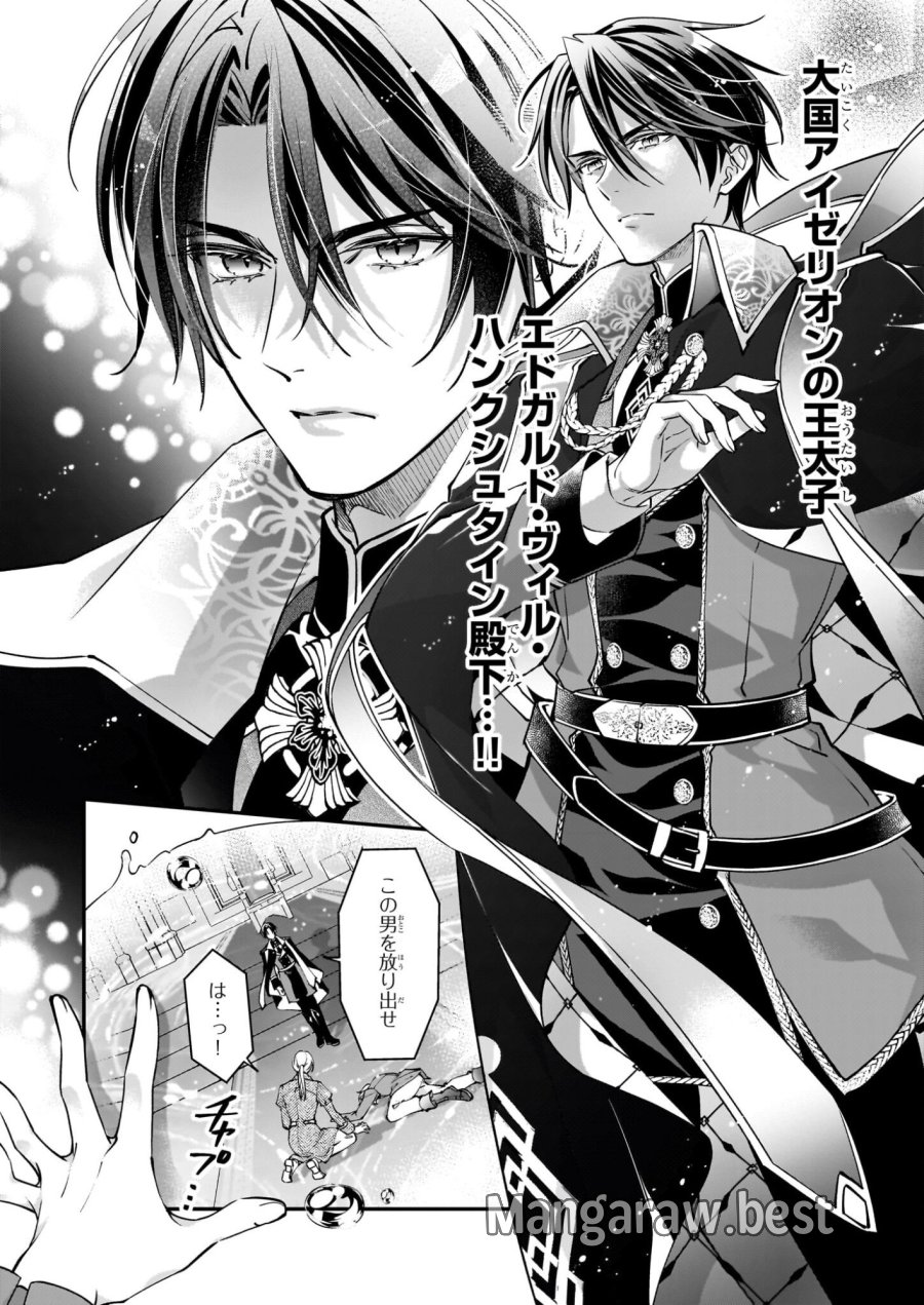 雇われ悪女なのに、冷酷王子さまを魅了魔法で篭絡してしまいました。不本意そうな割には、溺愛がすごい。 第1話 - Page 25