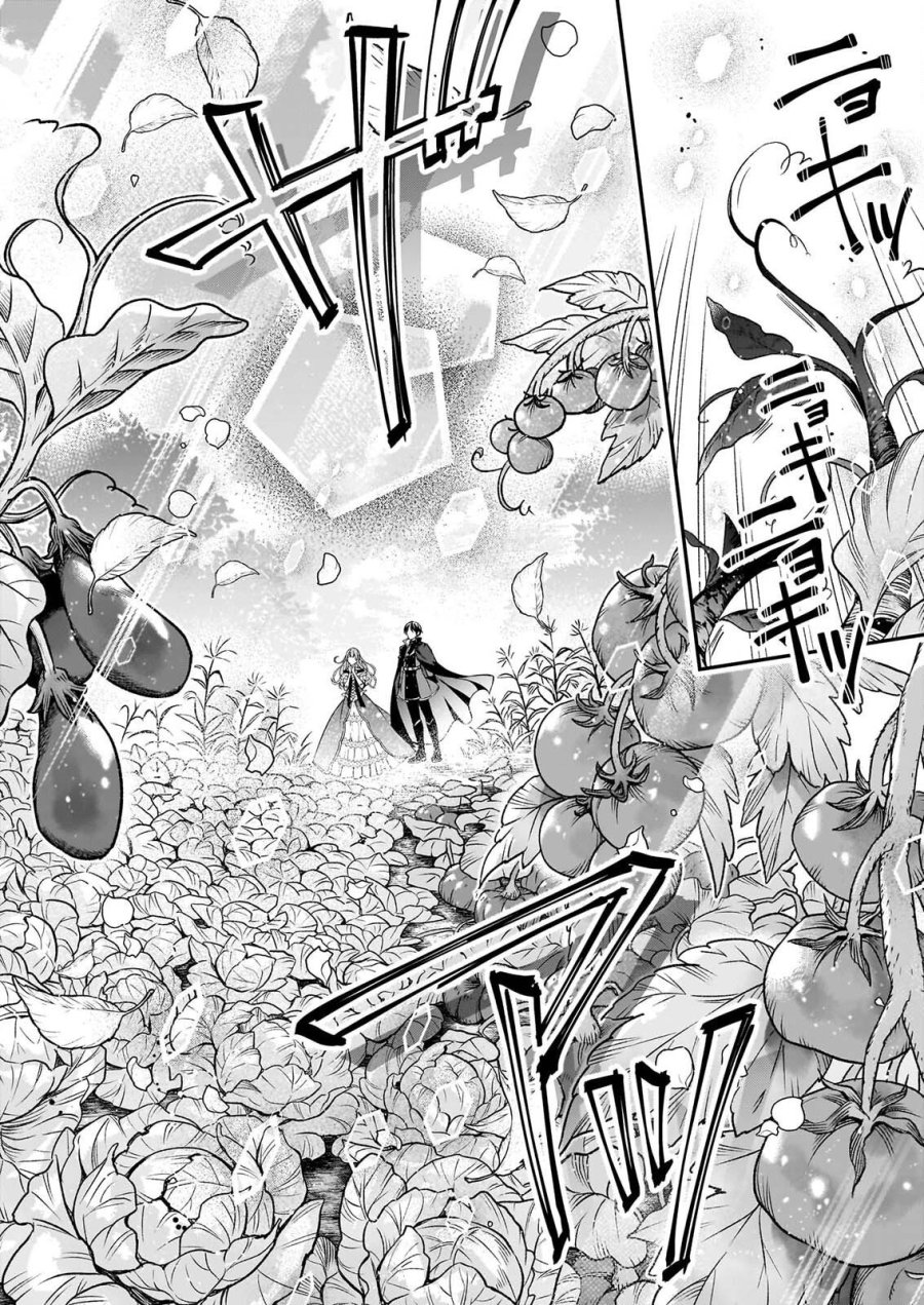 雇われ悪女なのに、冷酷王子さまを魅了魔法で篭絡してしまいました。不本意そうな割には、溺愛がすごい。 第2.3話 - Page 2