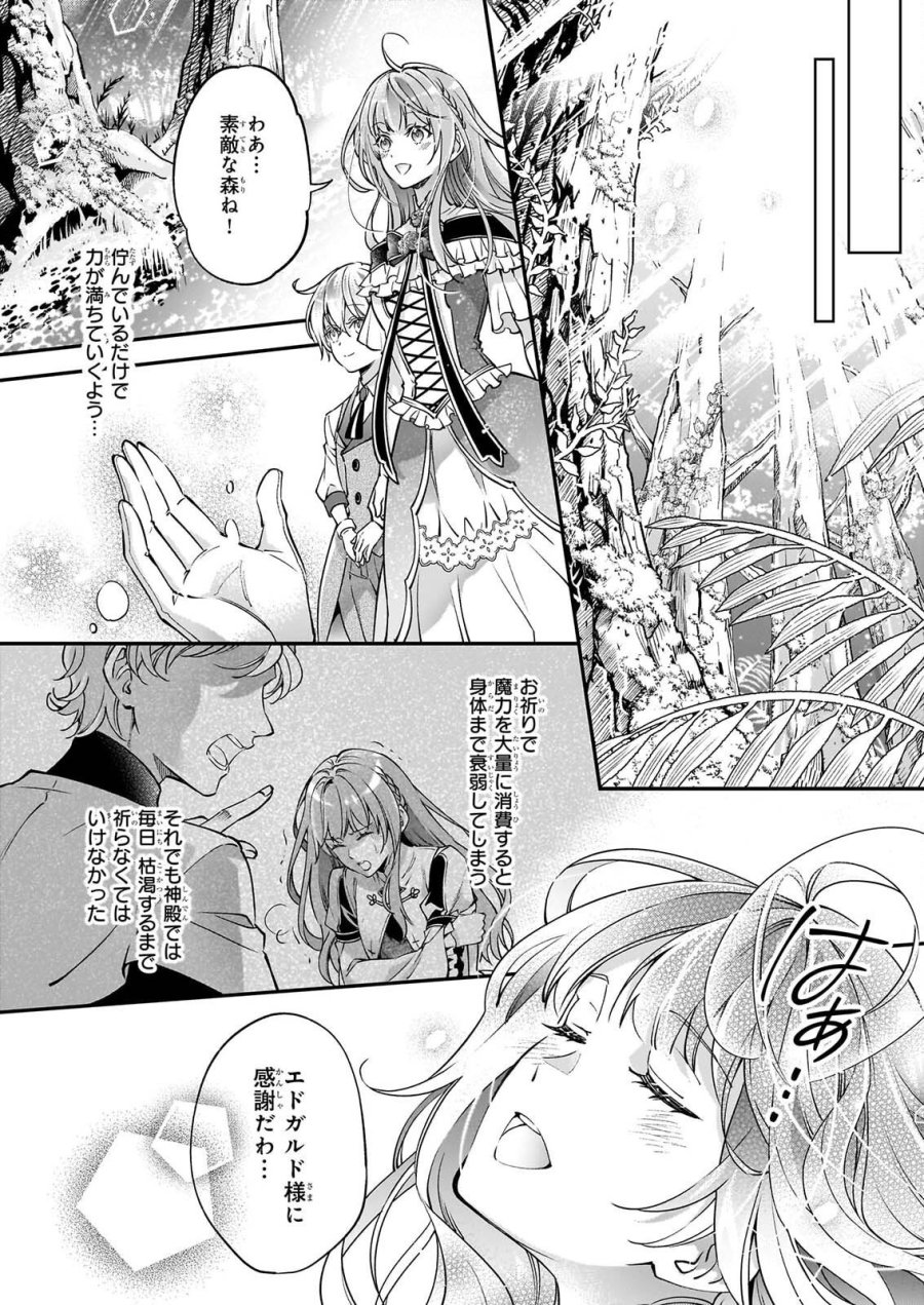 雇われ悪女なのに、冷酷王子さまを魅了魔法で篭絡してしまいました。不本意そうな割には、溺愛がすごい。 第3.1話 - Page 6