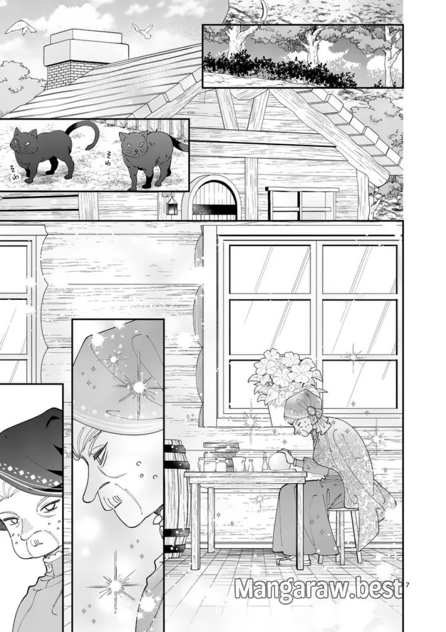 お針子令嬢と氷の伯爵の白い結婚 第19話 - Page 7