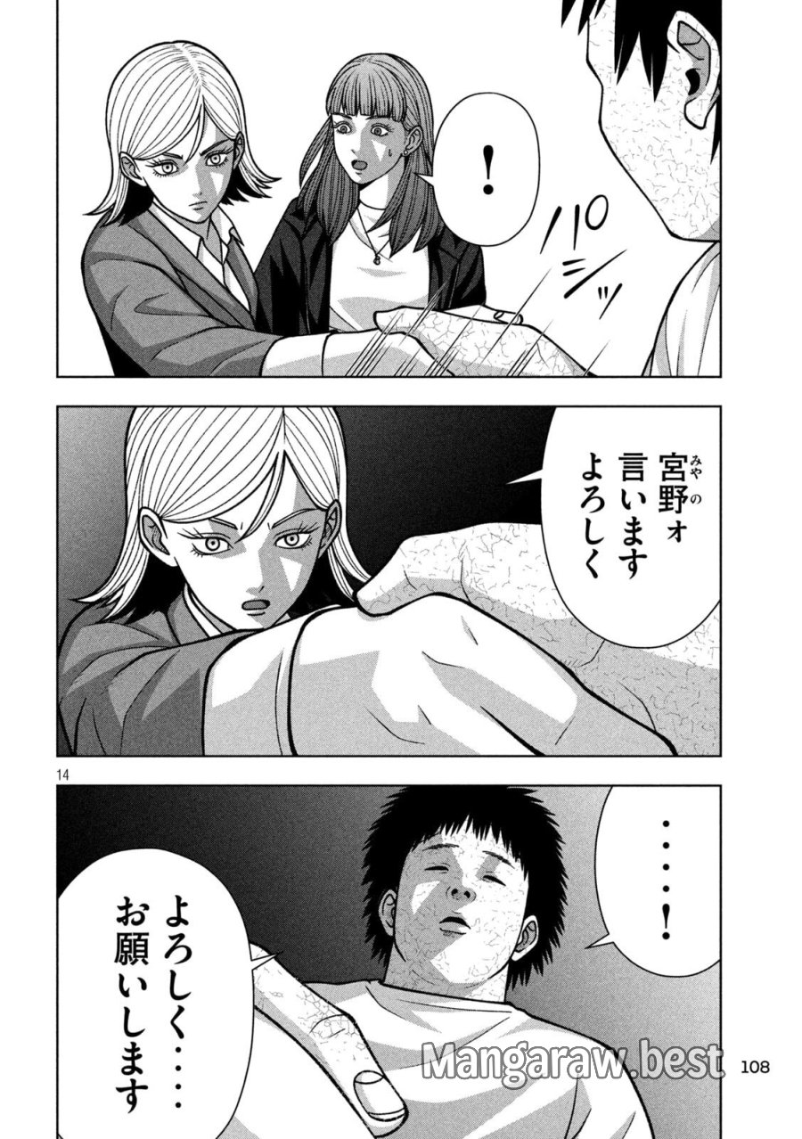 ゴールデンドロップ 第133話 - Page 14