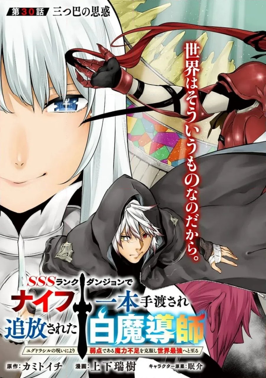 SSSランクダンジョンでナイフ一本手渡され追放された白魔導師 ユグドラシルの呪いにより弱点である魔力不足を克服し世界最強へと至る 第30.1話 - Trang 3