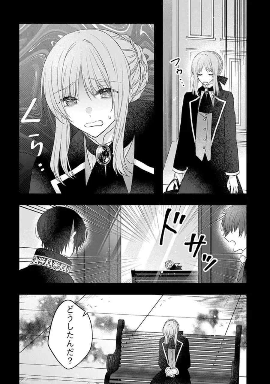 悪役令嬢に転生したと思ったら、シンデレラの義姉でした ～シンデレラオタクの異世界転生～ 第36話 - Page 20