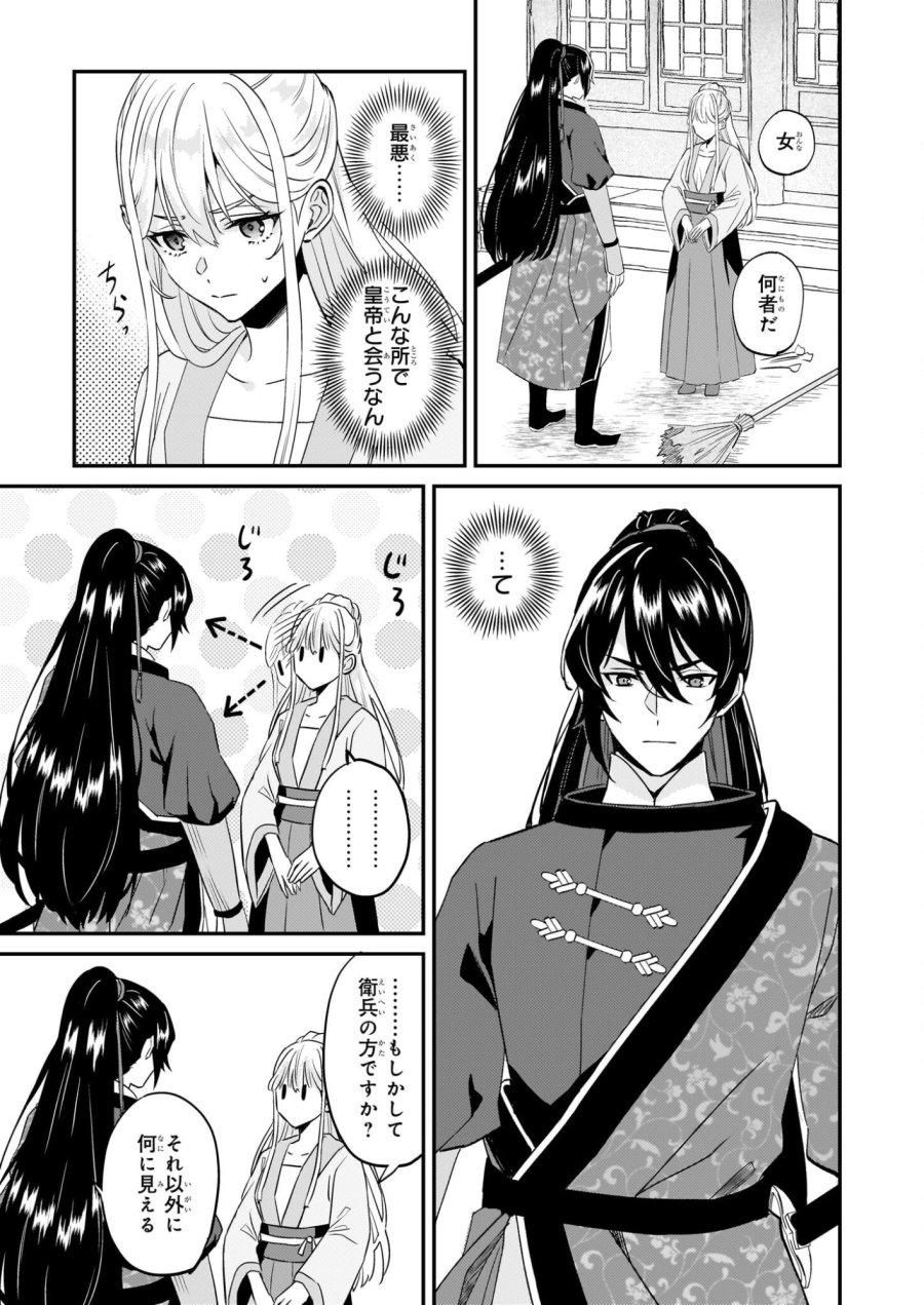 いずれ傾国悪女と呼ばれる宮女は、冷帝の愛し妃 第3話 - Page 3