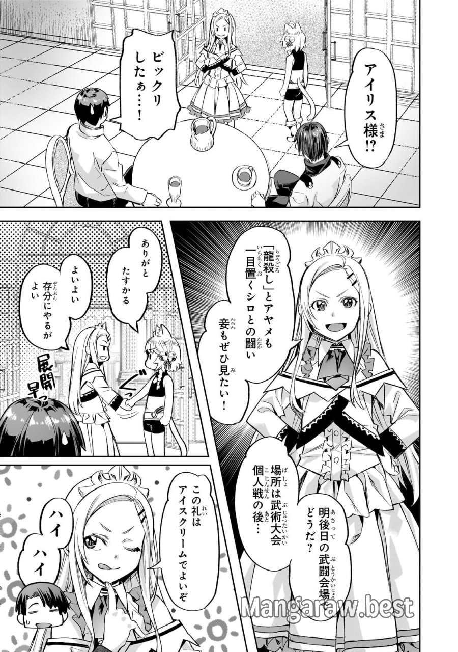 異世界でスローライフを(願望) 第66.1話 - Page 5
