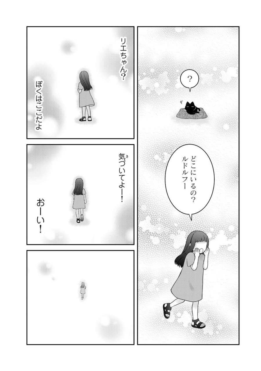 ルドルフとイッパイアッテナ 第5話 - Page 11