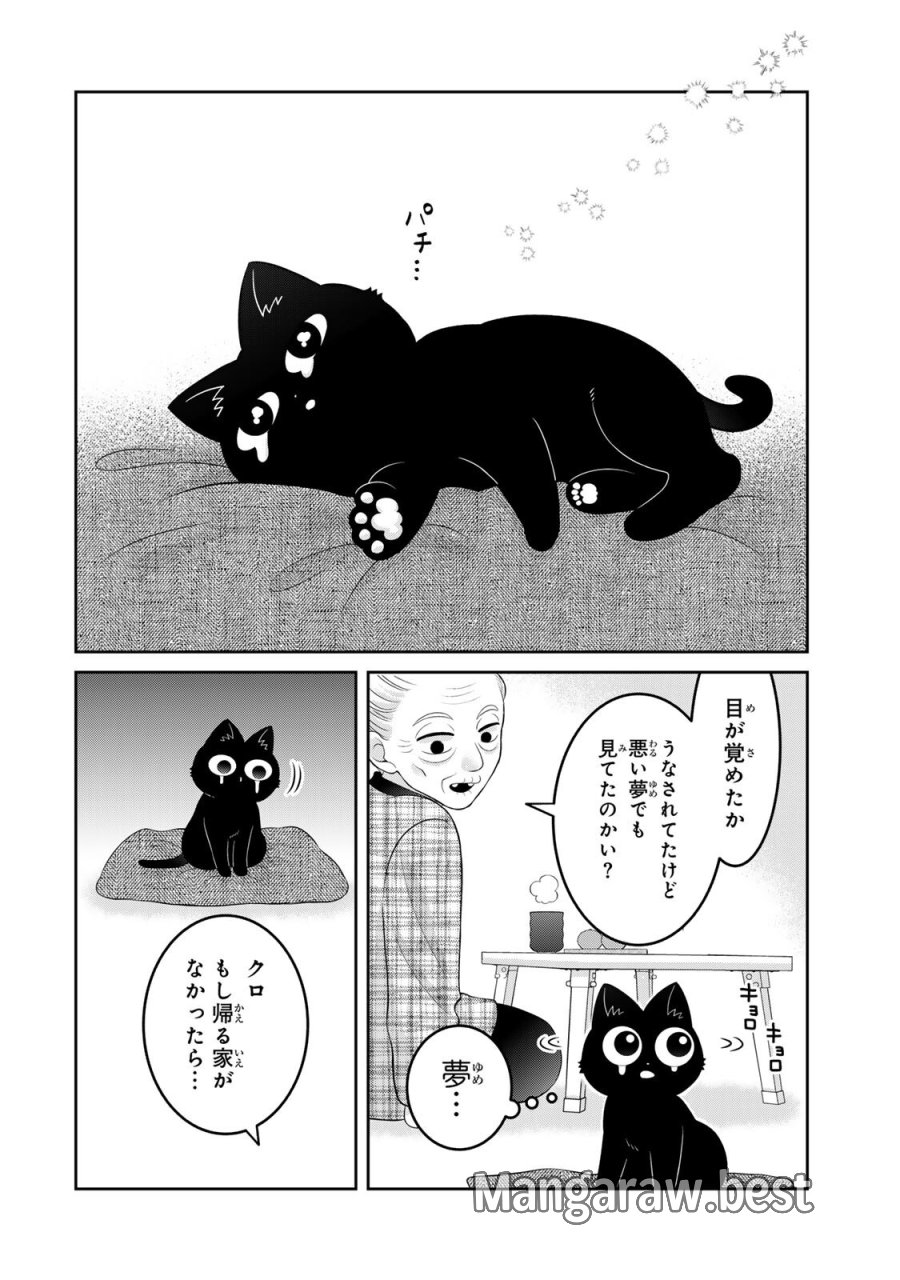 ルドルフとイッパイアッテナ 第5話 - Page 12