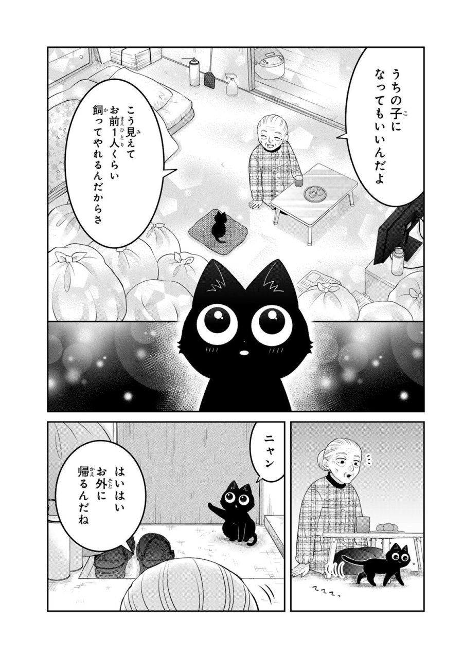 ルドルフとイッパイアッテナ 第5話 - Page 13
