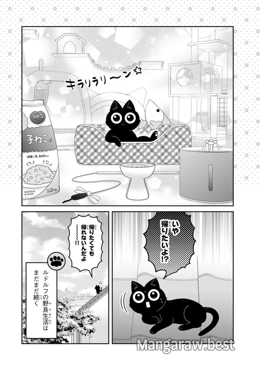 ルドルフとイッパイアッテナ 第5話 - Page 2