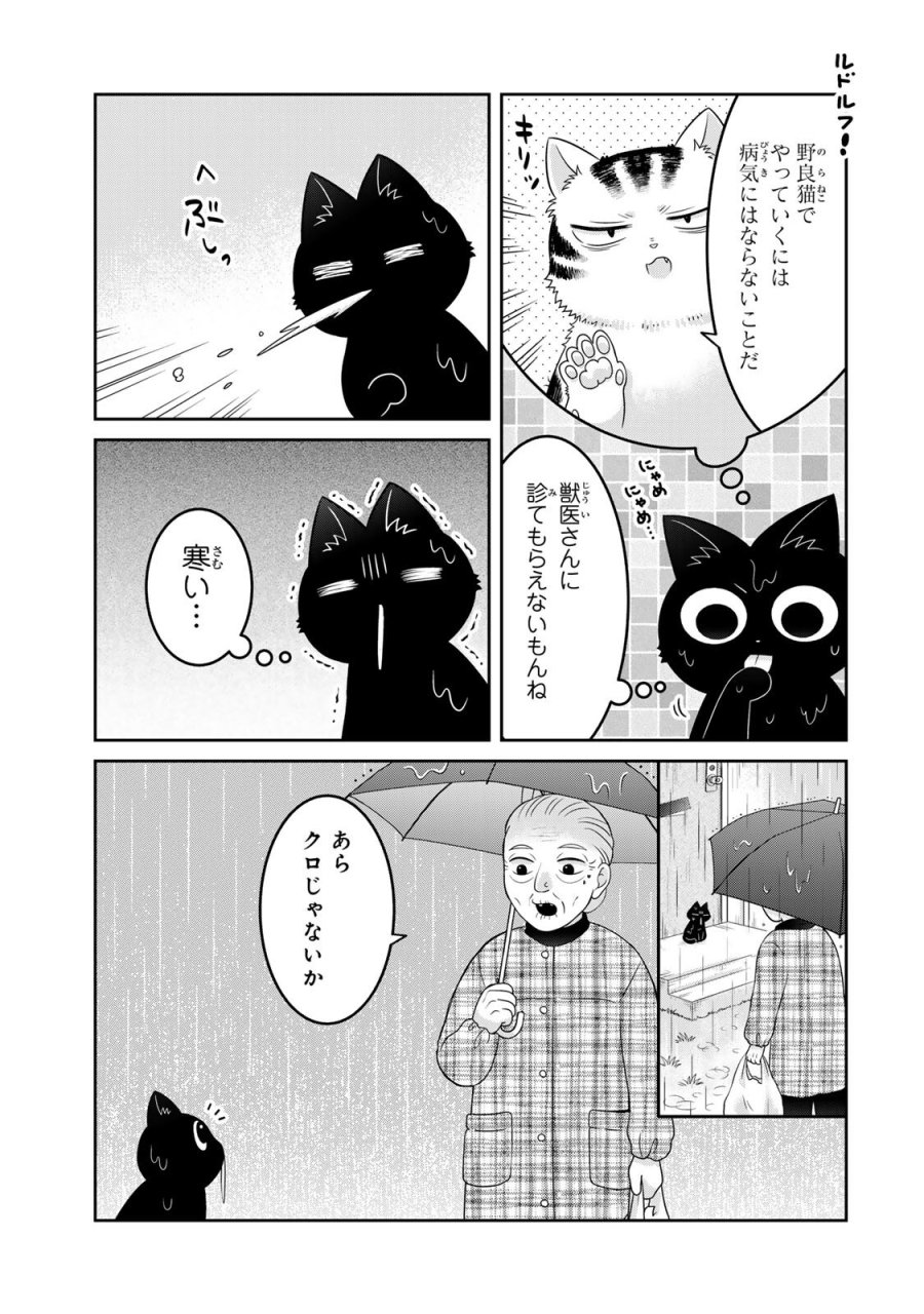 ルドルフとイッパイアッテナ 第5話 - Page 7