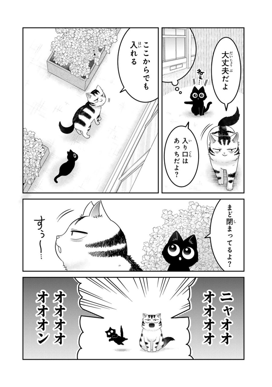 ルドルフとイッパイアッテナ 第9話 - Page 10