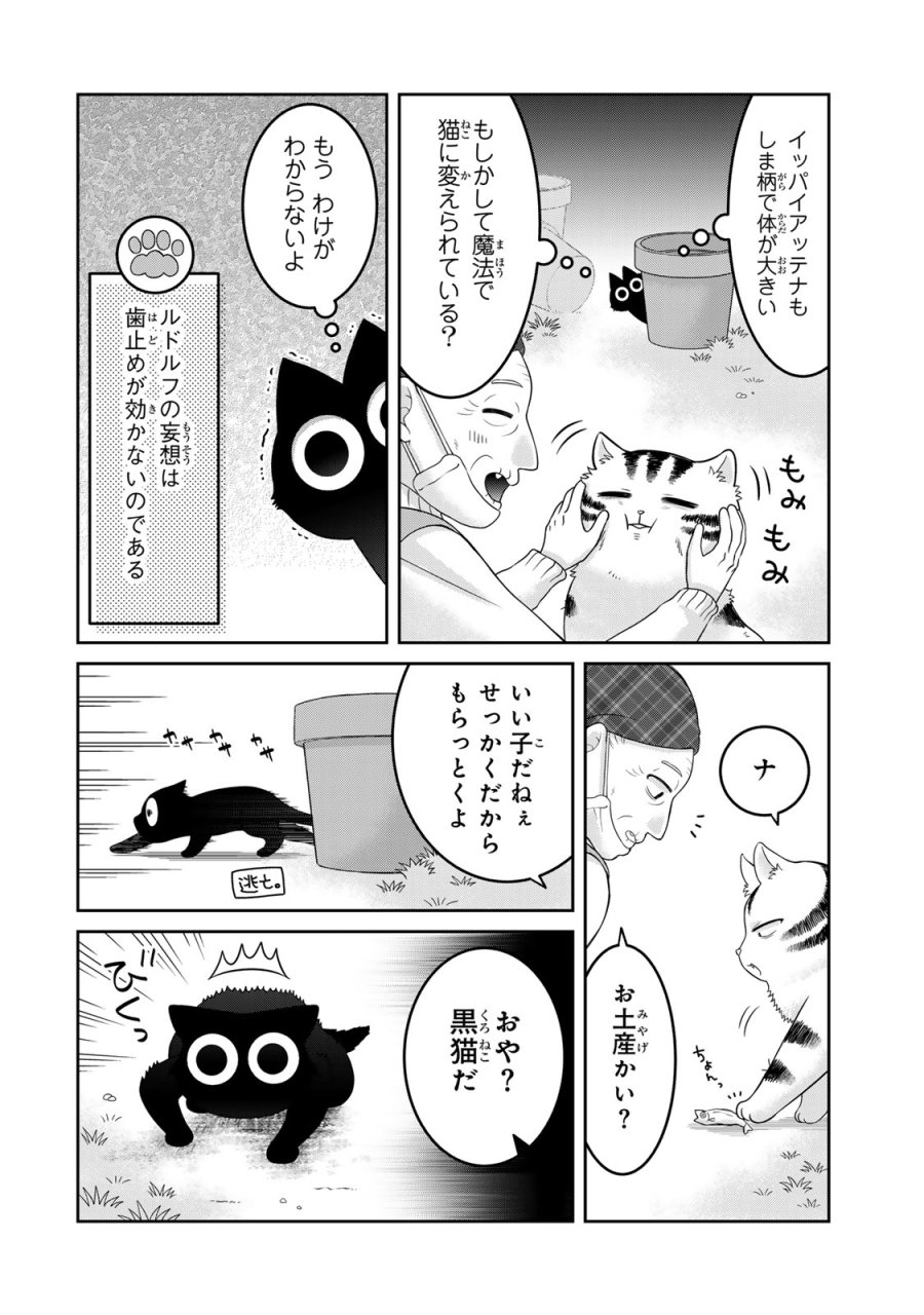 ルドルフとイッパイアッテナ 第2話 - Page 12
