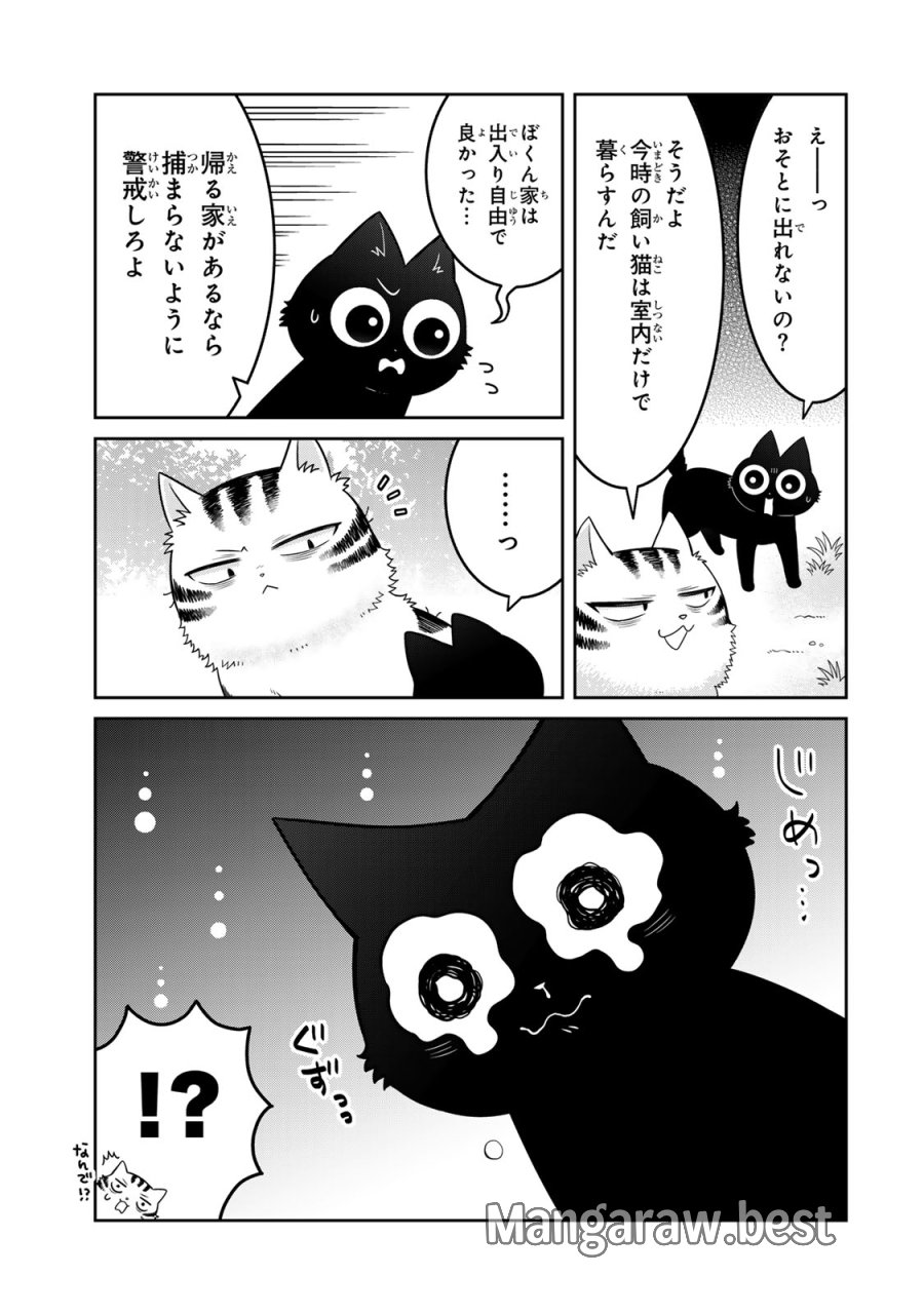 ルドルフとイッパイアッテナ 第2話 - Page 17