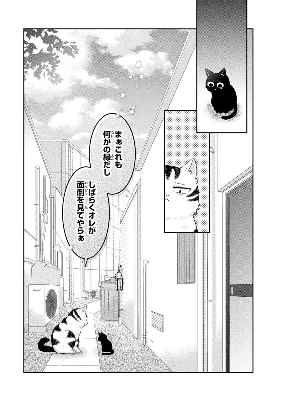 ルドルフとイッパイアッテナ 第2話 - Page 24
