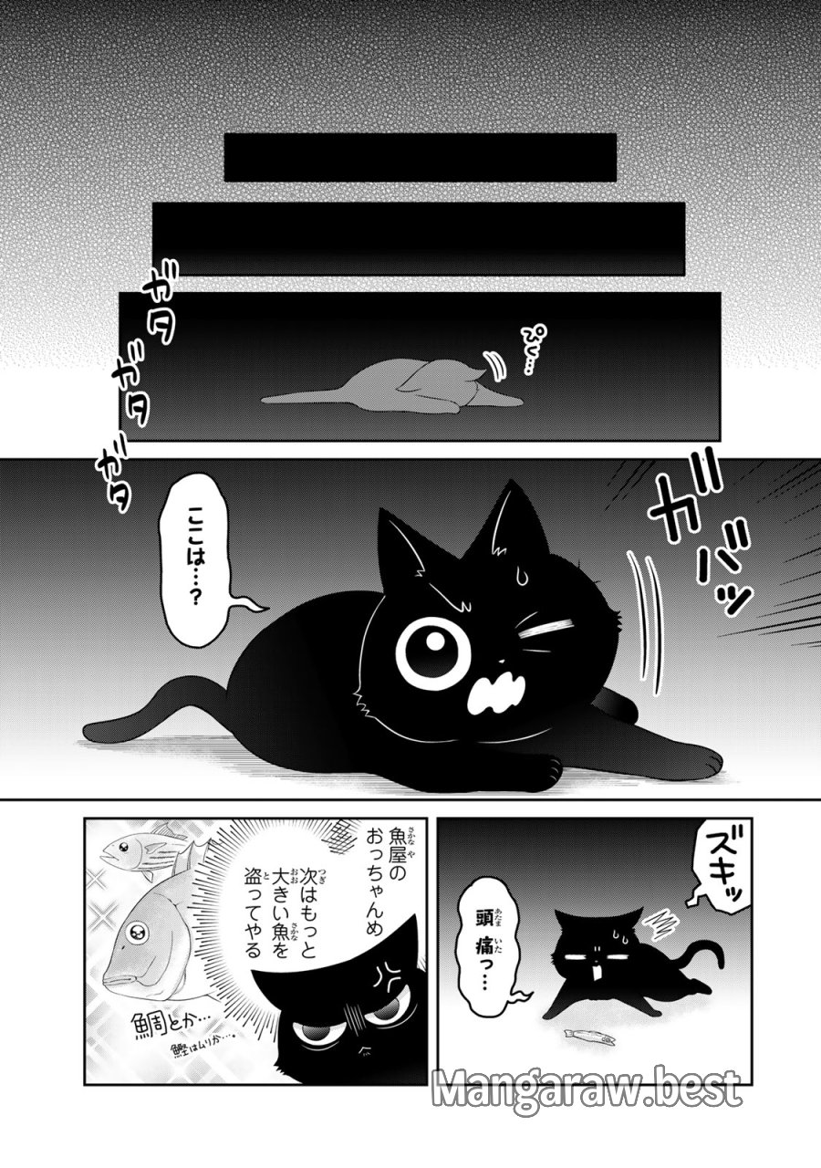 ルドルフとイッパイアッテナ 第1話 - Page 11