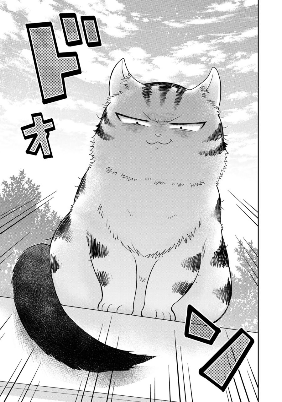 ルドルフとイッパイアッテナ 第1話 - Page 17