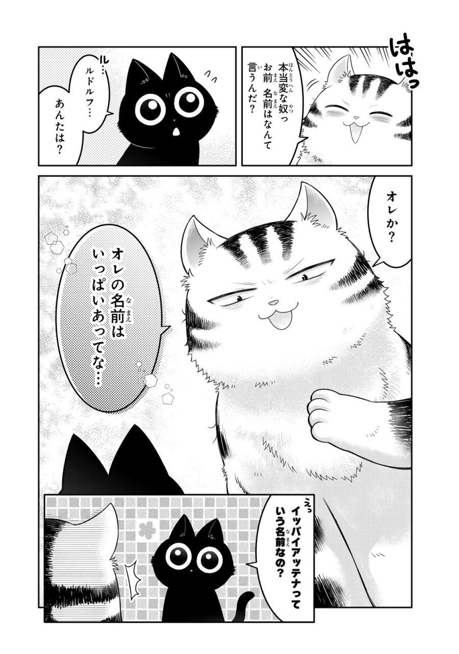 ルドルフとイッパイアッテナ 第1話 - Page 28
