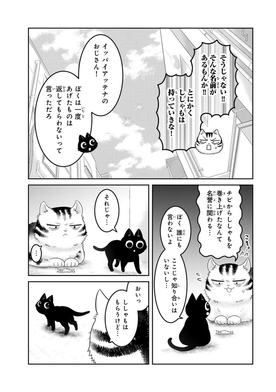 ルドルフとイッパイアッテナ 第1話 - Page 29