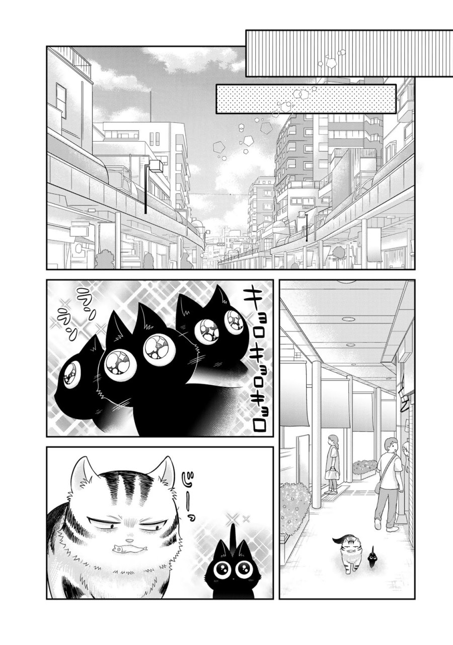 ルドルフとイッパイアッテナ 第1話 - Page 31