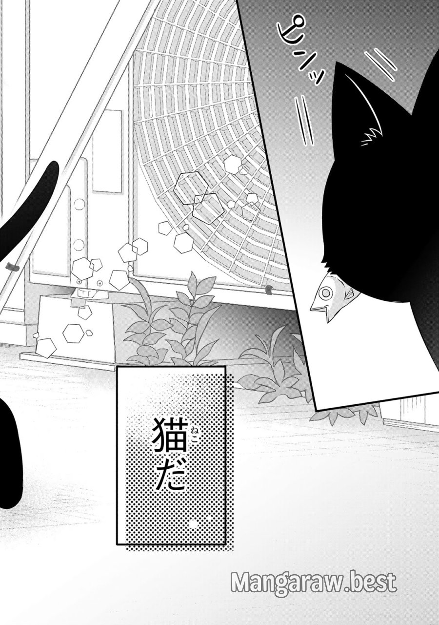 ルドルフとイッパイアッテナ 第1話 - Page 4