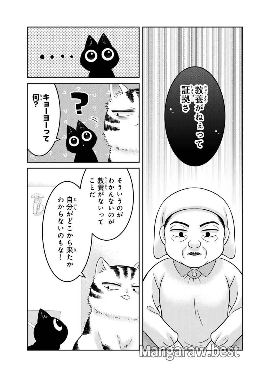 ルドルフとイッパイアッテナ 第3話 - Page 13