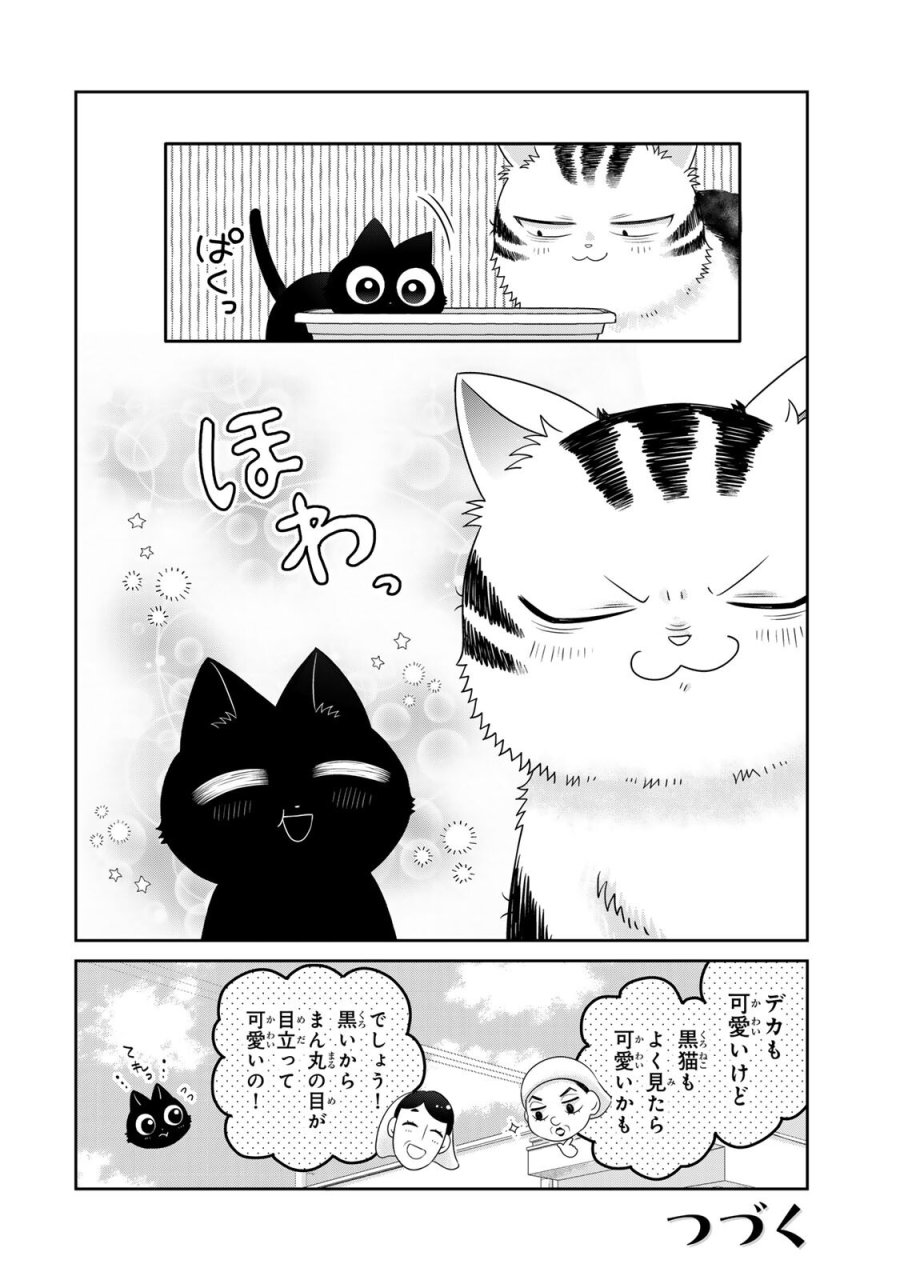 ルドルフとイッパイアッテナ 第3話 - Page 16