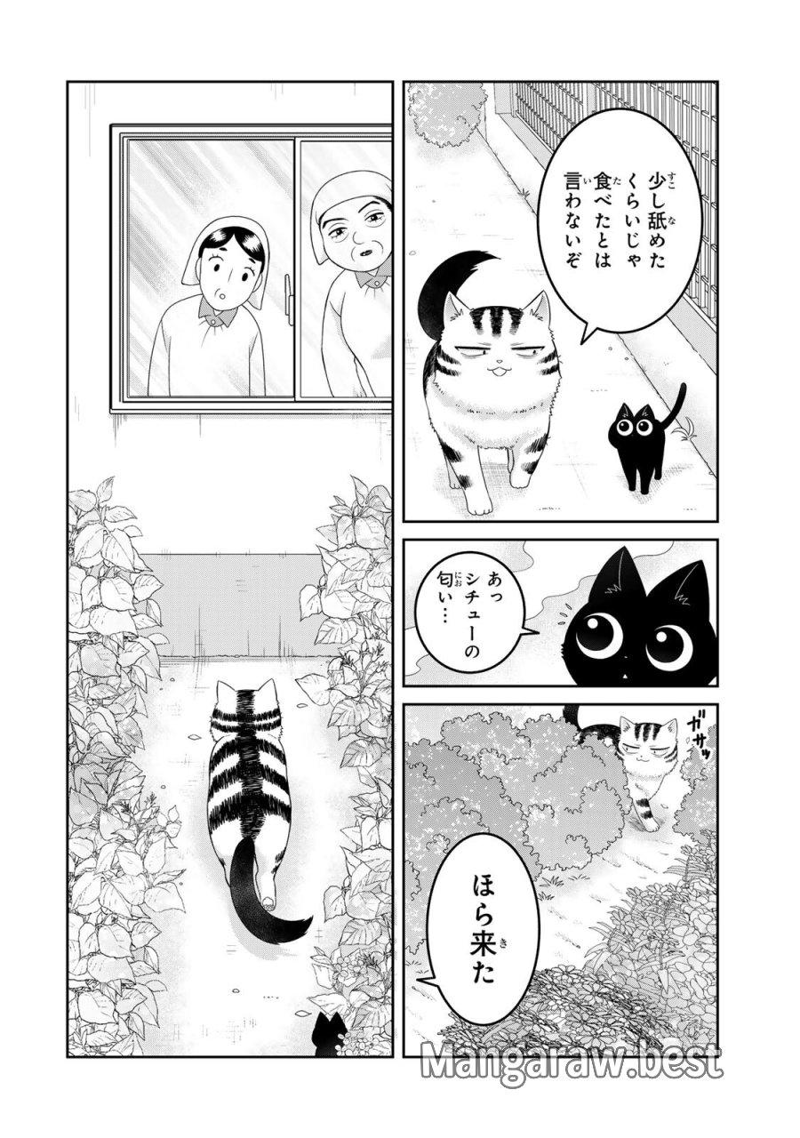 ルドルフとイッパイアッテナ 第3話 - Page 8