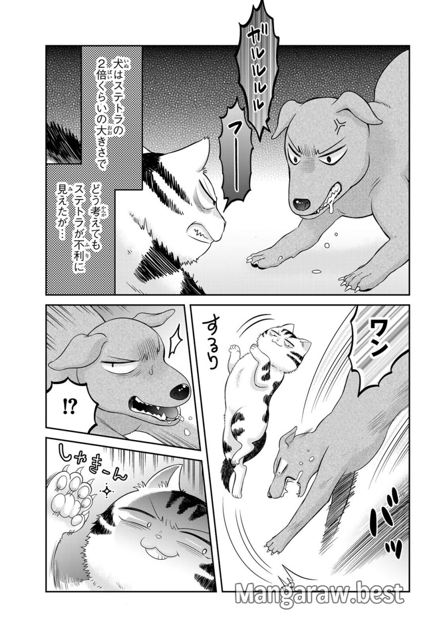 ルドルフとイッパイアッテナ 第6話 - Page 11