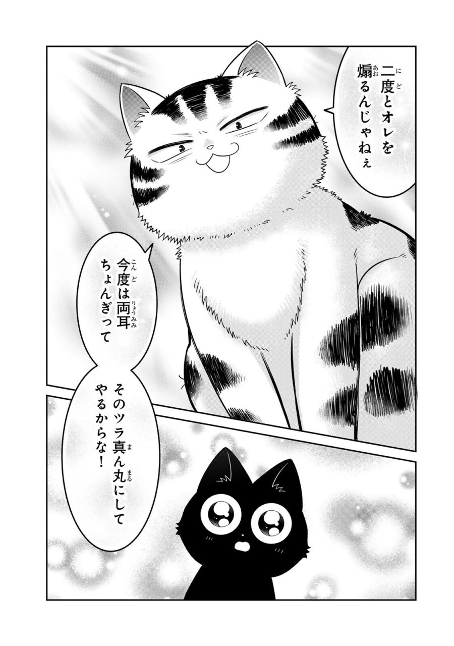 ルドルフとイッパイアッテナ 第6話 - Page 15