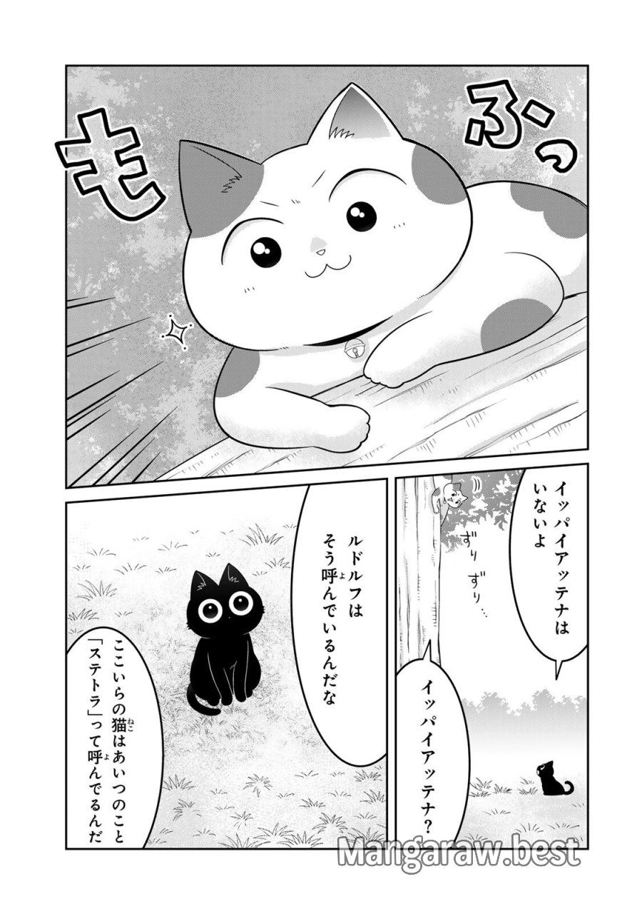 ルドルフとイッパイアッテナ 第6話 - Page 5