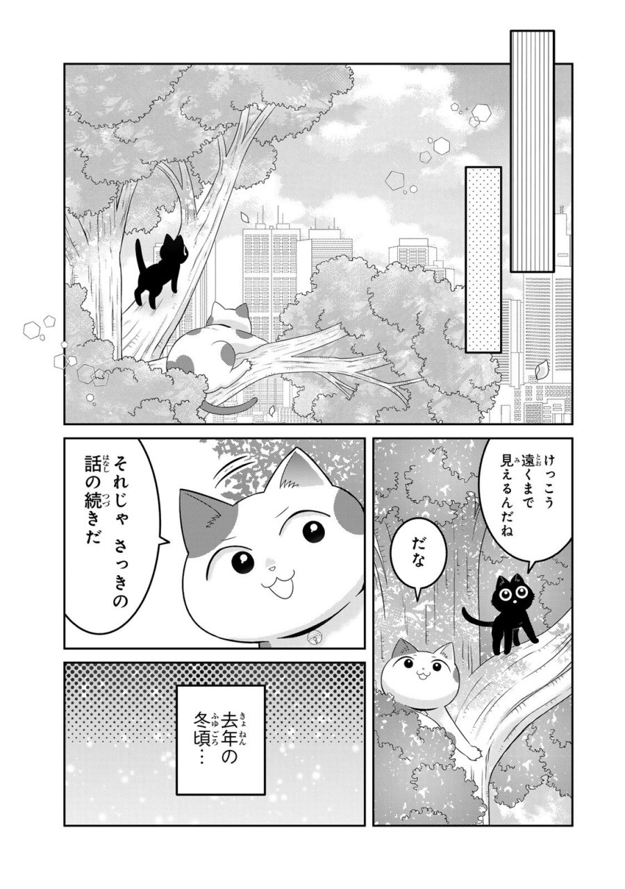 ルドルフとイッパイアッテナ 第6話 - Page 9