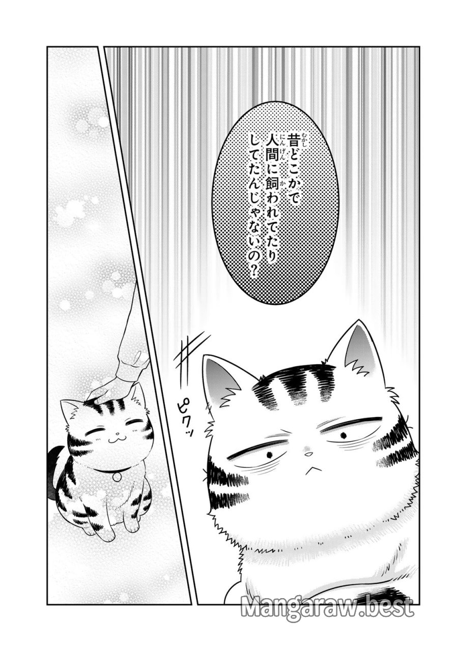 ルドルフとイッパイアッテナ 第4話 - Page 11