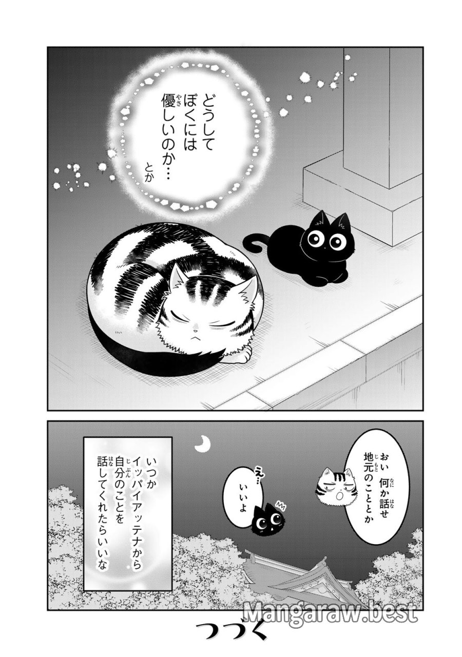 ルドルフとイッパイアッテナ 第4話 - Page 13
