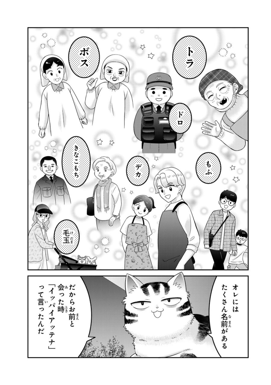ルドルフとイッパイアッテナ 第4話 - Page 9