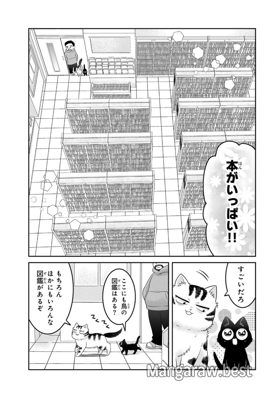 ルドルフとイッパイアッテナ 第10話 - Page 3