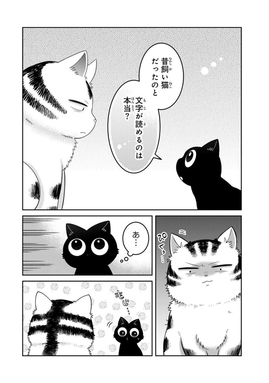 ルドルフとイッパイアッテナ 第7話 - Page 10