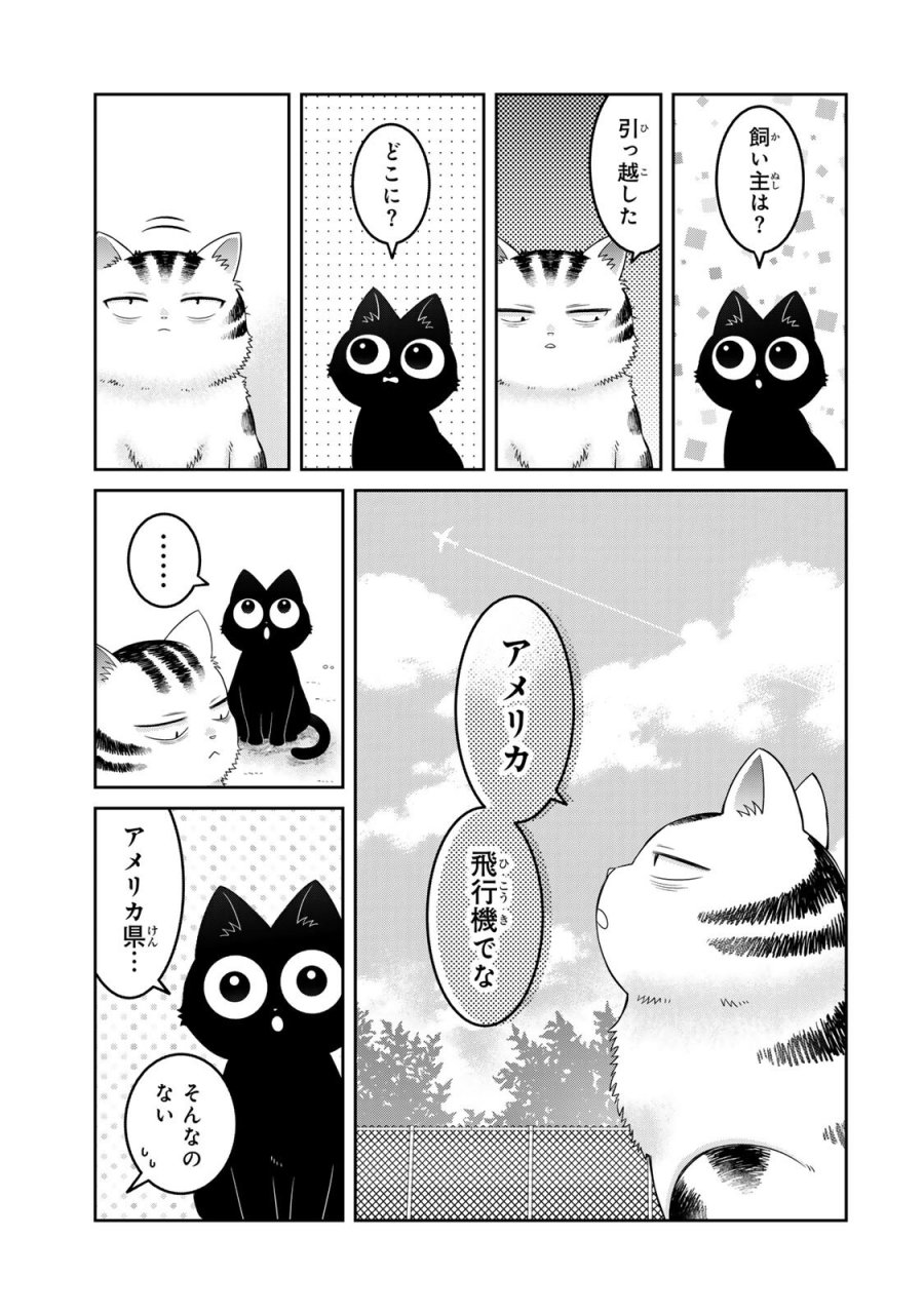 ルドルフとイッパイアッテナ 第7話 - Page 13
