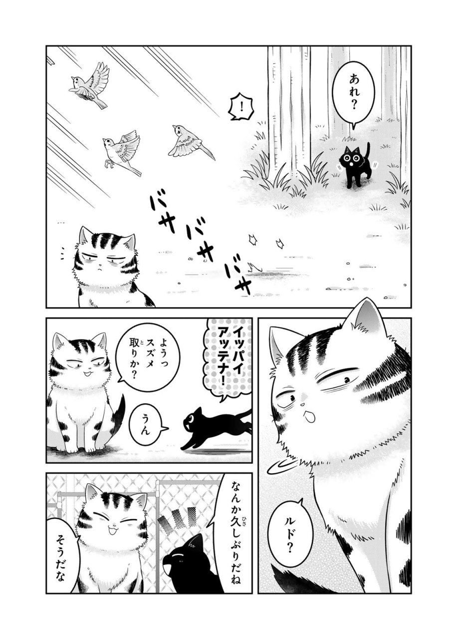 ルドルフとイッパイアッテナ 第7話 - Page 5