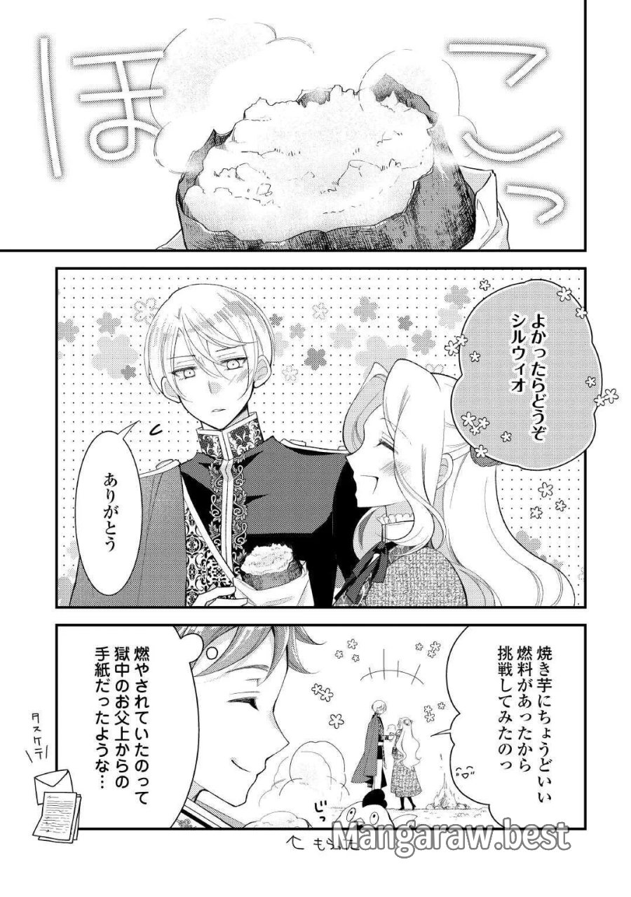 死んだ王妃は二度目の人生を楽しみます ーお飾りの王妃は必要ないのでしょう?ー 第18話 - Page 17
